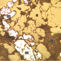 Mineral Oil