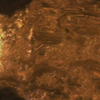 24K Gold